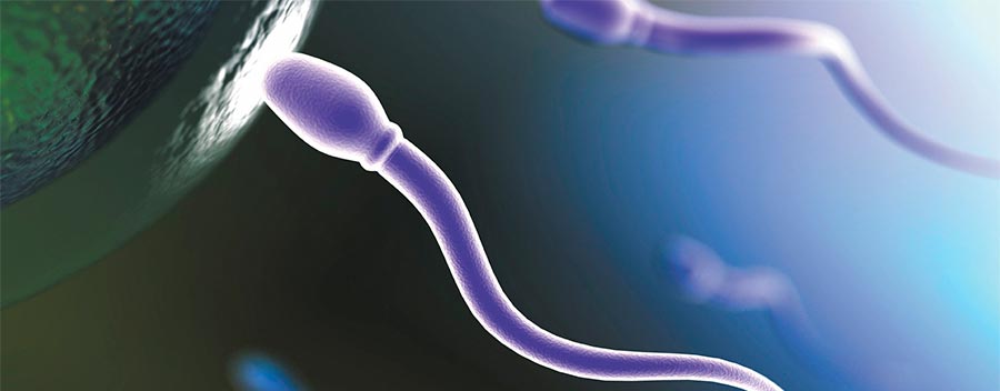 Основная причина бесплодия у мужчин — ухудшение качества спермы - диагностика и лечение в «Алан Клиник» Казань