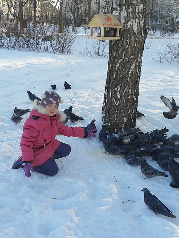 Кормушки для птиц в парках Казани фото №2