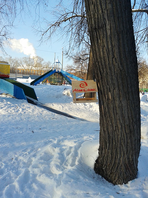 Кормушки для птиц в парках Казани фото №3